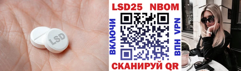 KRAKEN ССЫЛКА  Каргат  Лсд 25 экстази ecstasy 