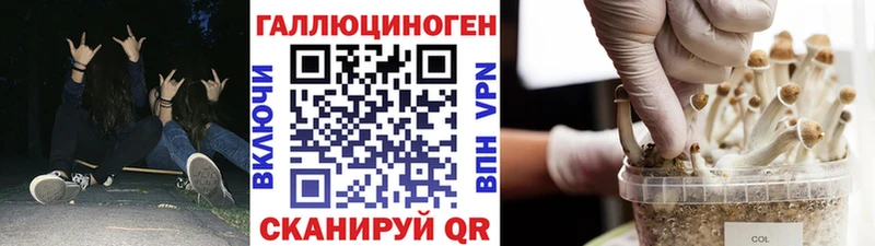 Псилоцибиновые грибы прущие грибы  как найти наркотики  Каргат 