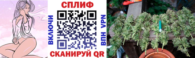 МАРИХУАНА SATIVA & INDICA  ОМГ ОМГ зеркало  Каргат 